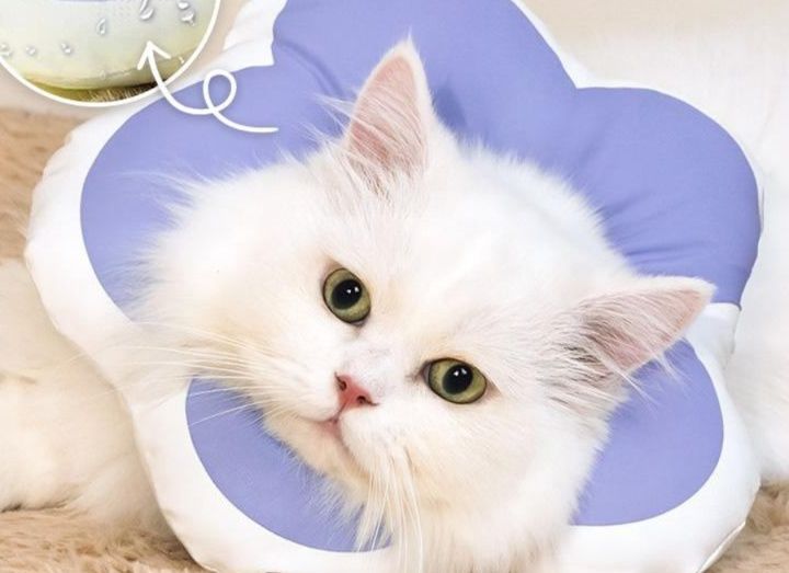 猫服 花びら型ふわふわ猫用エリザベスカラー