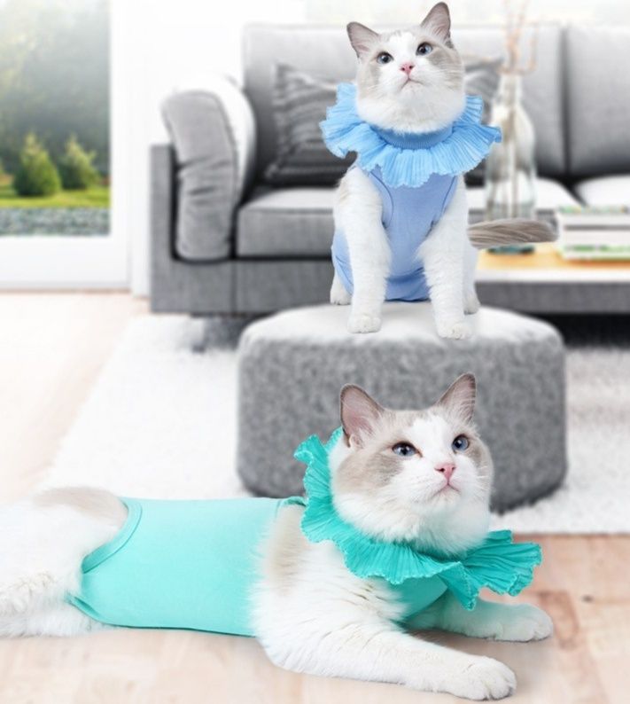 https://fulmo-img-server.com/nekohapi/1785905529306_bvwwq9vu_6mt9xdzg.jpeg