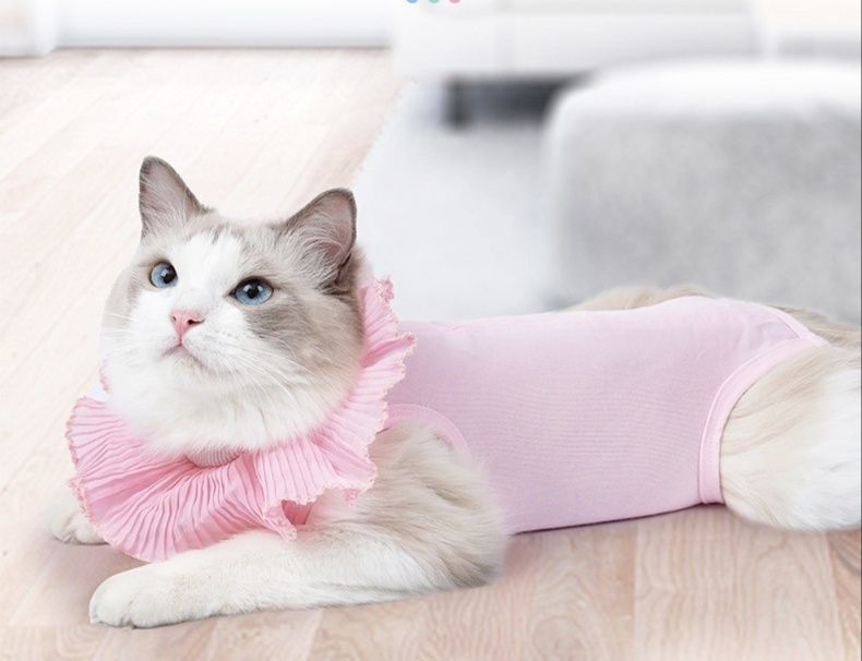 https://fulmo-img-server.com/nekohapi/1785905628207_01u07ie5_4j039grk.jpeg