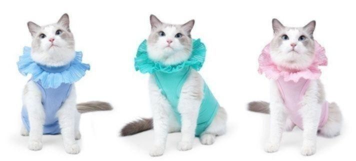 https://fulmo-img-server.com/nekohapi/1785905891191_3a7e6fqc_mf5byooq.jpeg