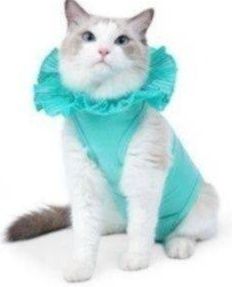 猫服 猫用フリル襟付き術後回復ウェア