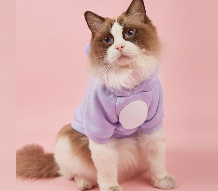 猫服 くま耳フード付きあったか猫服パーカー
