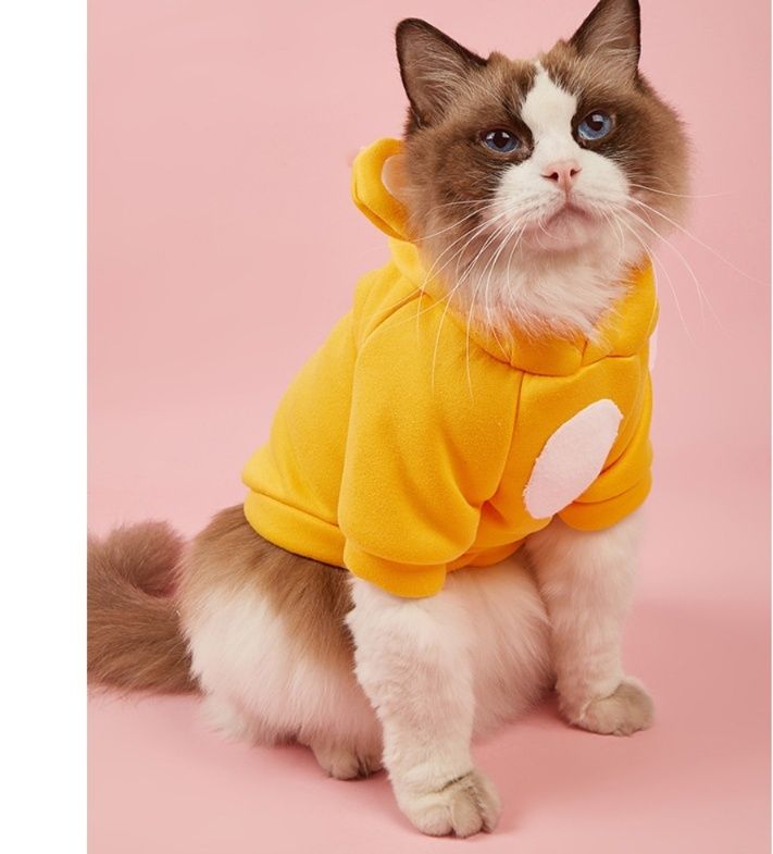https://fulmo-img-server.com/nekohapi/1786068984755_lzijghf2_aytfnbn2.jpeg