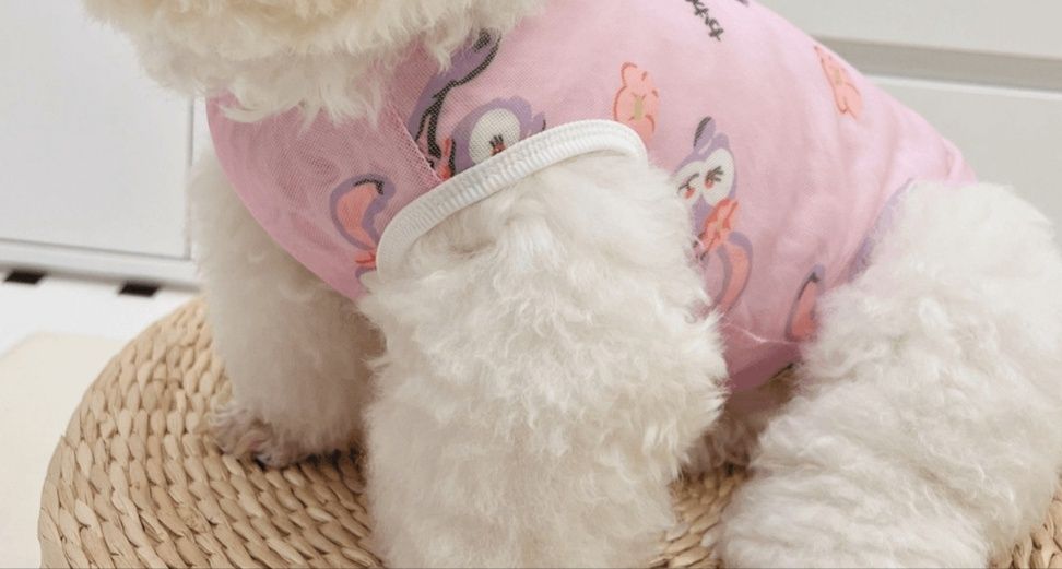 猫服 動物柄メッシュタンクトップ 