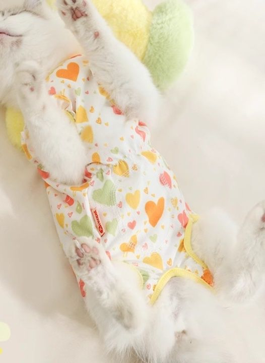 https://fulmo-img-server.com/nekohapi/1786080018931_egljugec_5msxse7a.jpeg