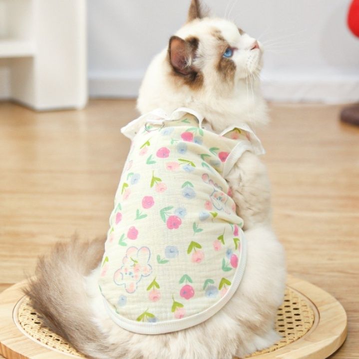 https://fulmo-img-server.com/nekohapi/1788323378444_yi8sqwlm_vg29ayke.jpeg