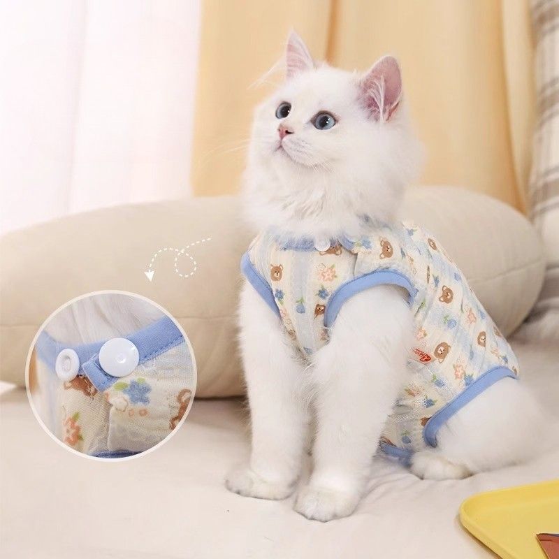 https://fulmo-img-server.com/nekohapi/1788400715416_zaf38rud_awbarevj.jpeg
