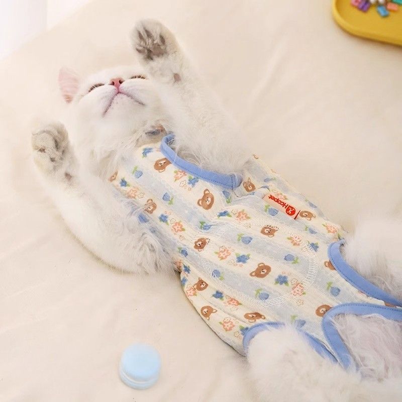 https://fulmo-img-server.com/nekohapi/1788400752229_6jjyjh7a_hz66fkis.jpeg