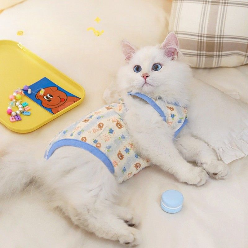 https://fulmo-img-server.com/nekohapi/1788400769379_io8e8blr_dgiggp98.jpeg