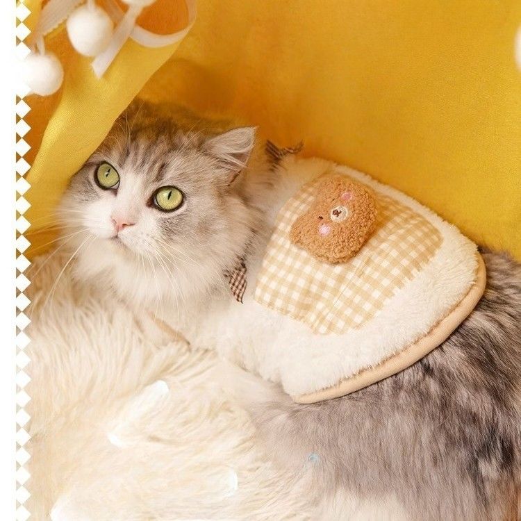 https://fulmo-img-server.com/nekohapi/1788575971685_mh4d71cq_jt2418dy.jpeg