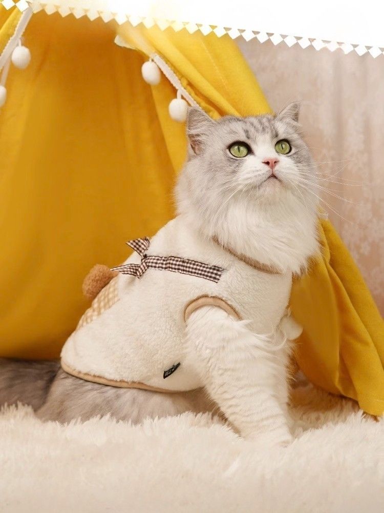https://fulmo-img-server.com/nekohapi/1788575980787_pqkw7fwc_n6hi0a2b.jpeg