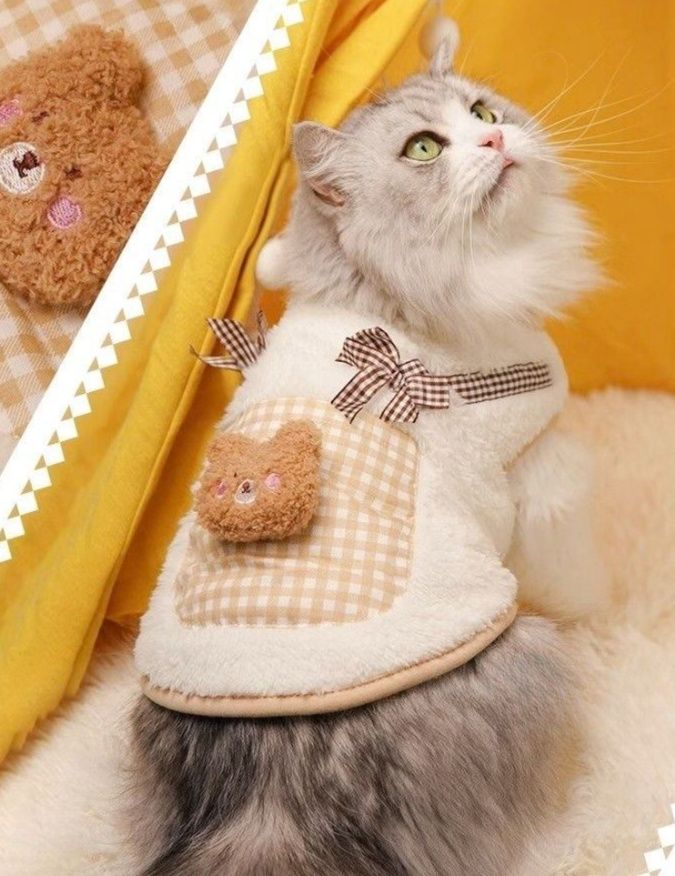 https://fulmo-img-server.com/nekohapi/1788576089576_nz7aun0q_b54p6bho.jpeg