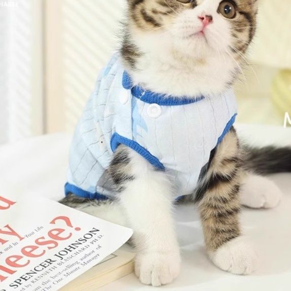 https://fulmo-img-server.com/nekohapi/1791851476152_jtflnfof_metlcuyi.jpeg