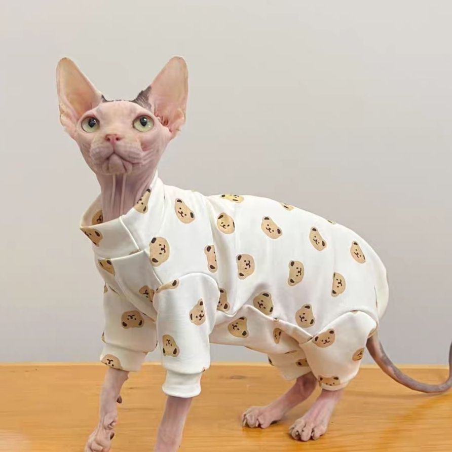 https://fulmo-img-server.com/nekohapi/1791853513994_ucoyjkqi_yzi4cl6x.jpeg