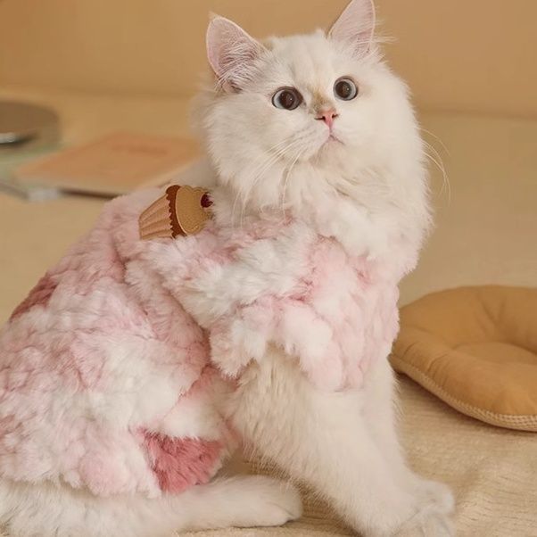 https://fulmo-img-server.com/nekohapi/1791854778196_si7dswho_wo3y007f.jpeg