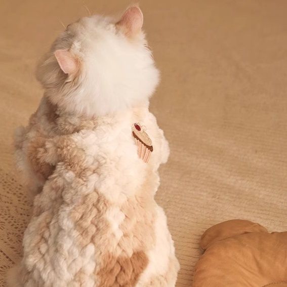 https://fulmo-img-server.com/nekohapi/1791854818487_97piwiel_t7asacy4.jpeg