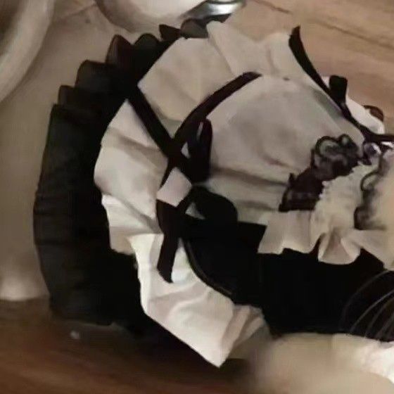https://fulmo-img-server.com/nekohapi/1791855520791_ybhu260t_oun9keb4.jpeg