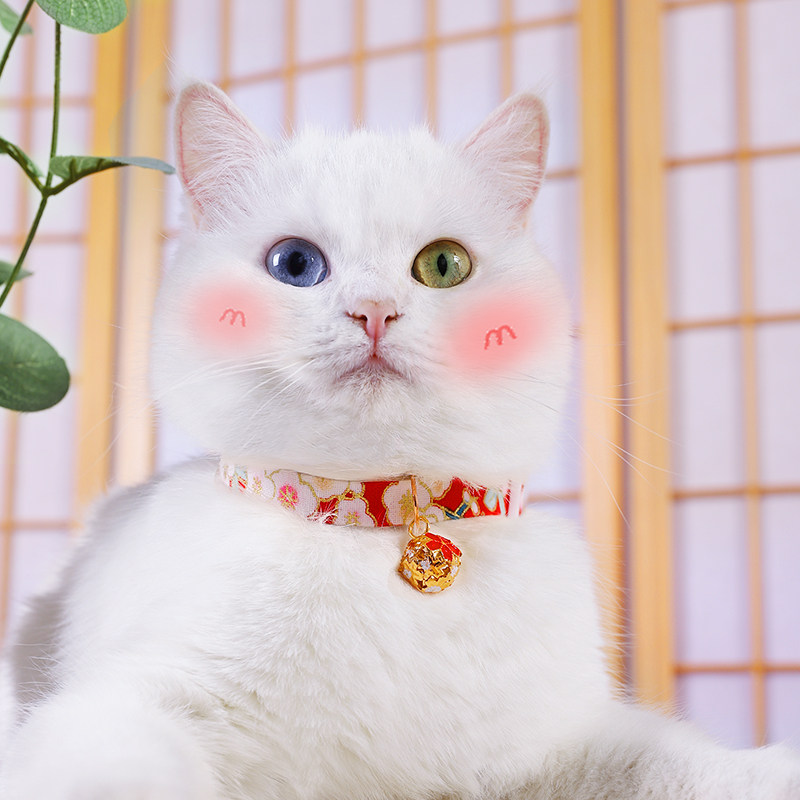 猫服 和柄招き猫鈴付き首輪