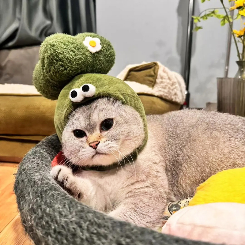 猫服 もふもふ野菜なりきり帽子