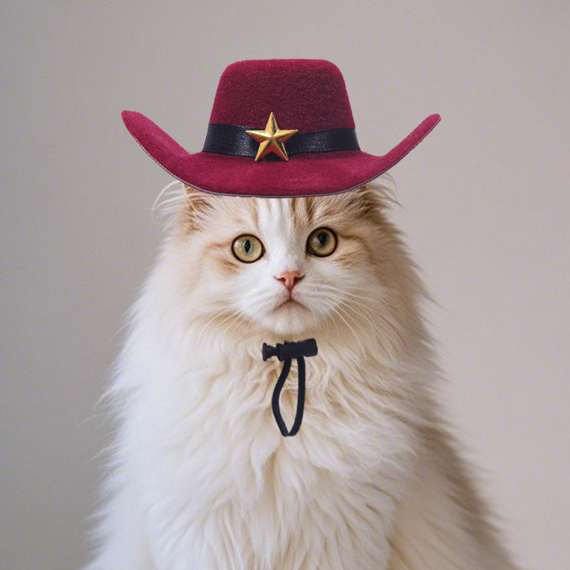猫服 星飾り付き西部風猫用つば広帽子