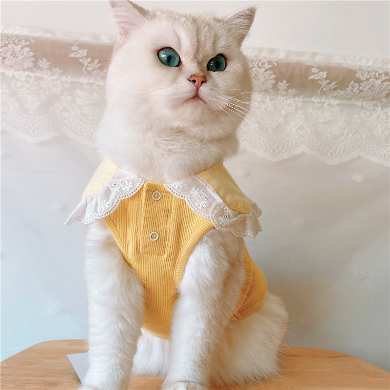 愛猫用襟付きレース装飾胸当て付きニットベスト
