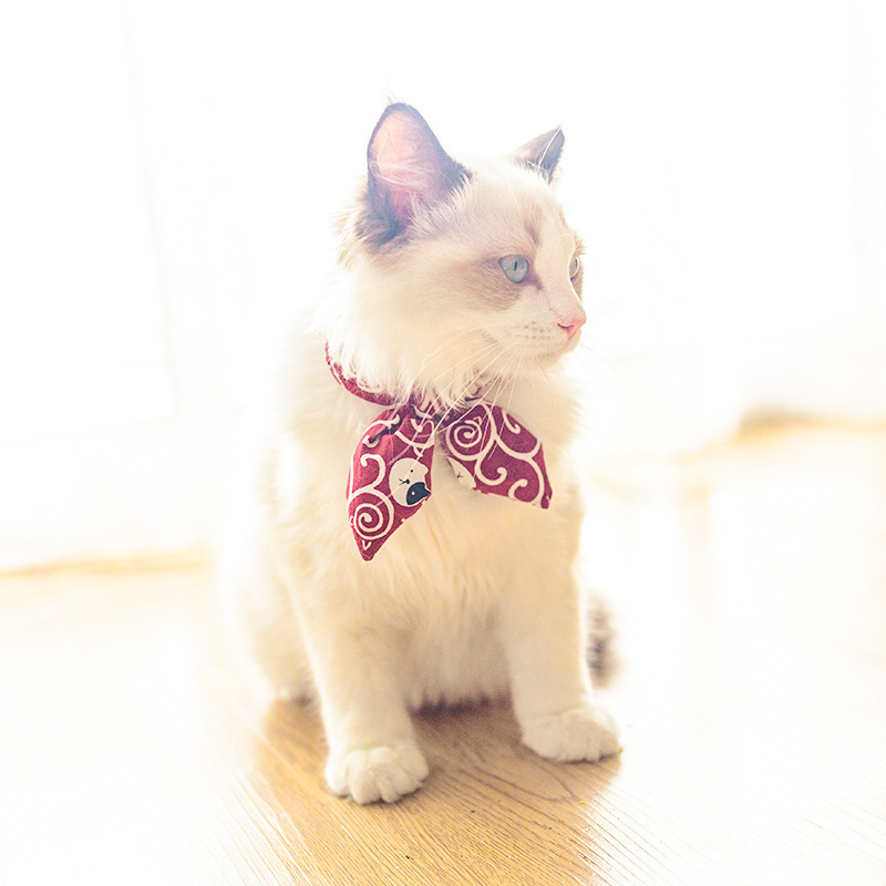 猫服 和風唐草模様リボン付き首輪