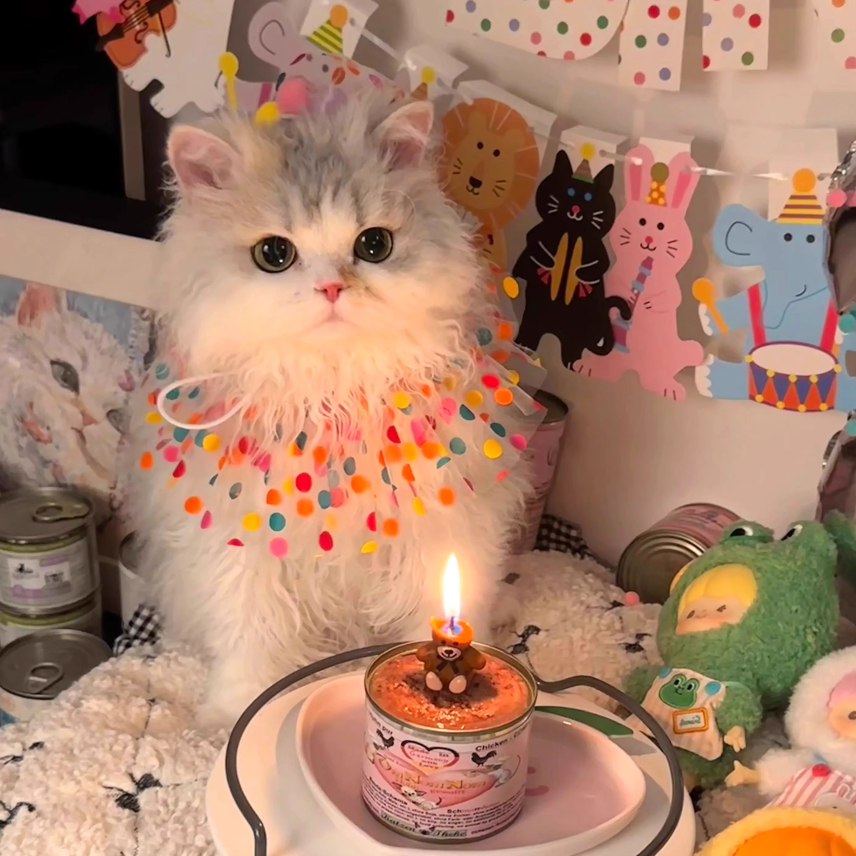 猫を快適にする服の着せる方法とおすすめアイテム5選