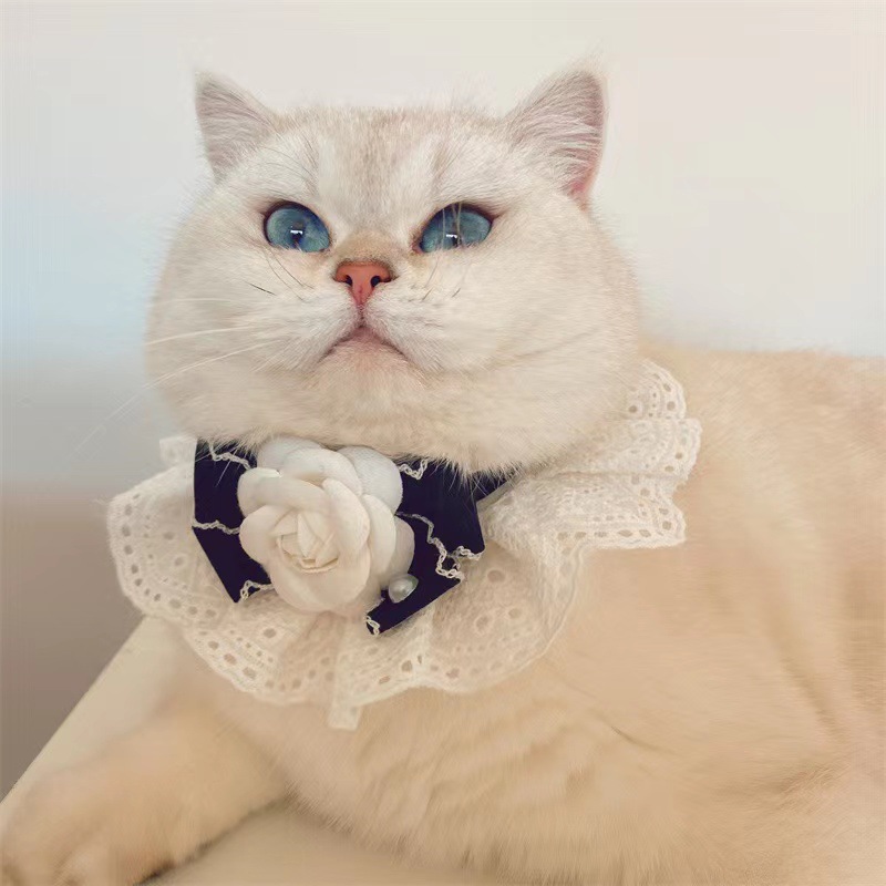 猫服 優雅な薔薇とレース飾りの姫系首輪