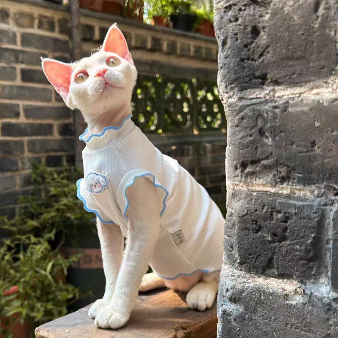 猫服 雲型刺繍入りリブ編みつなぎ　スフィンクス専用