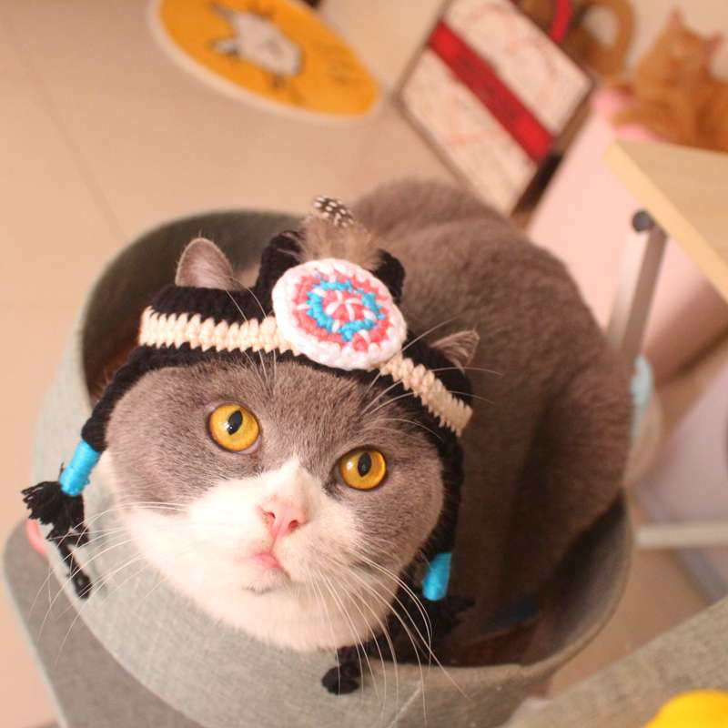 Cat Clothing Hats | Hamburger Cat Hat