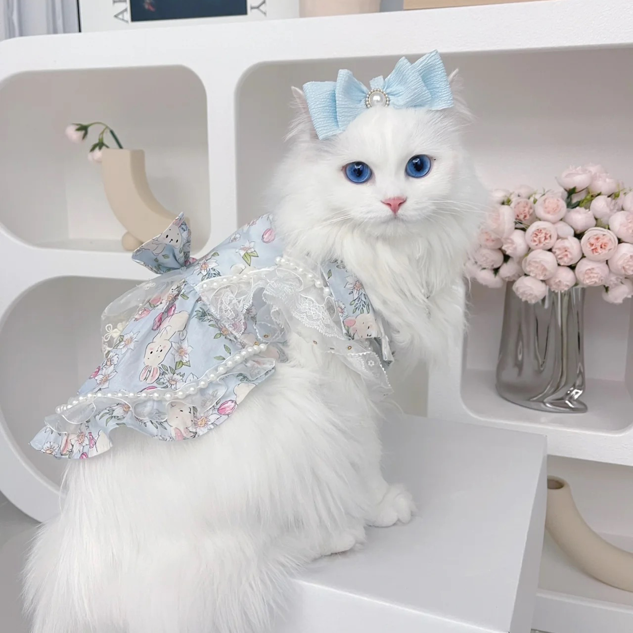 Cat Clothing Clothing | Fluffy Lace Princess Dress for Cats