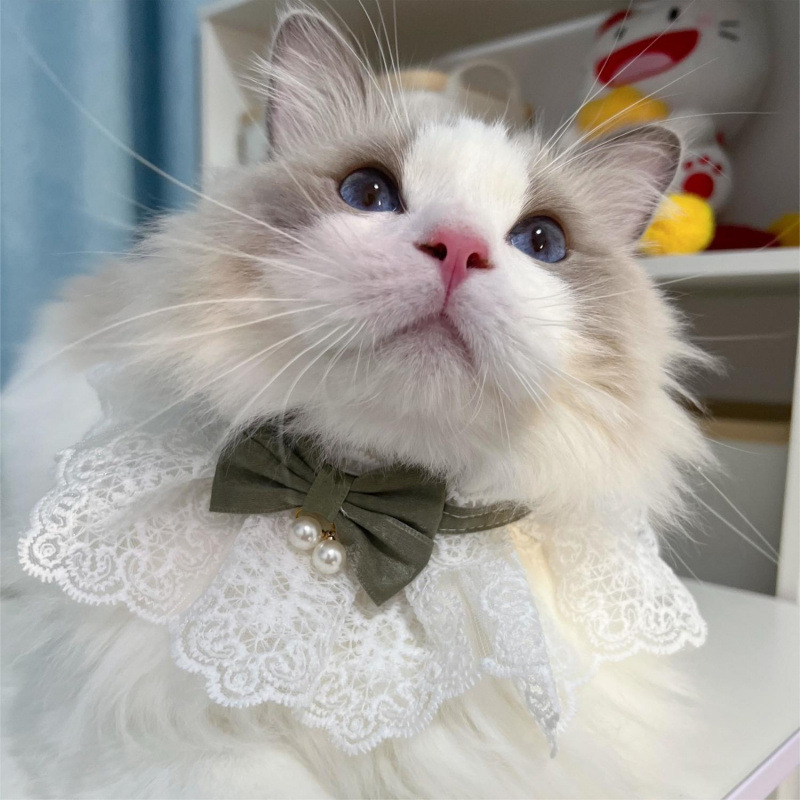 猫服 優雅なレース襟付きリボン首輪パール飾り