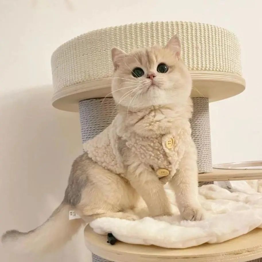 猫服 もこもこボタン付きベスト