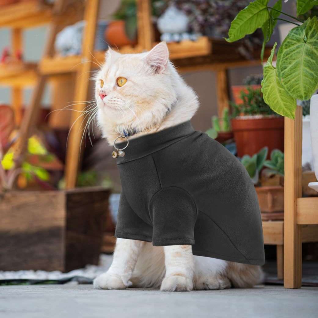 https://fulmo-img-server.com/nekohapi/24abe47d273f4795868fa0cee1244191.jepg