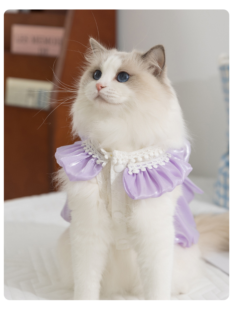 猫服 お姫様風フリル襟付き光沢ドレス