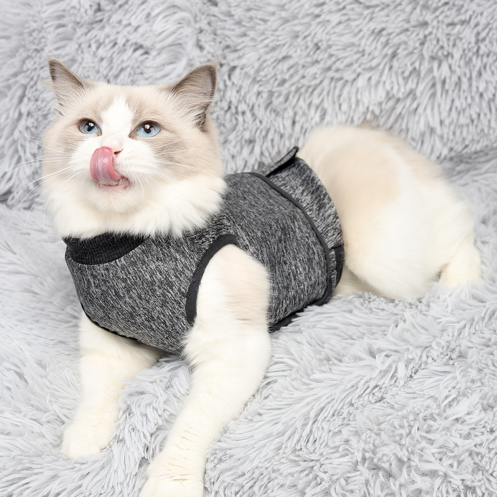 https://fulmo-img-server.com/nekohapi/26abd139-3dce-4ae9-94d4-1f7b7800c872.jpg