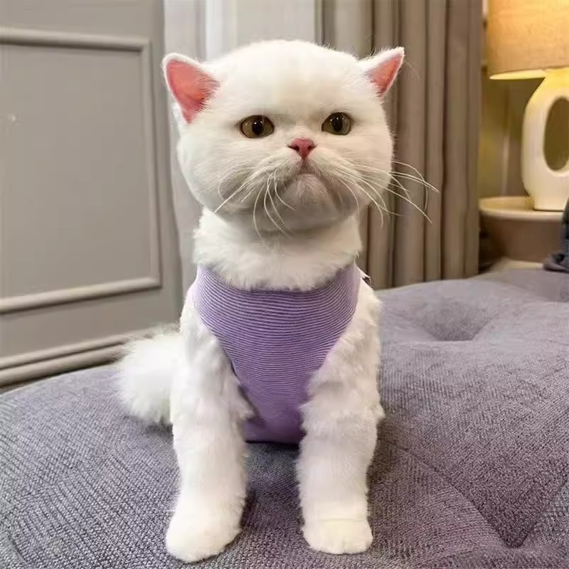 猫服 リボン結び術後ウェア