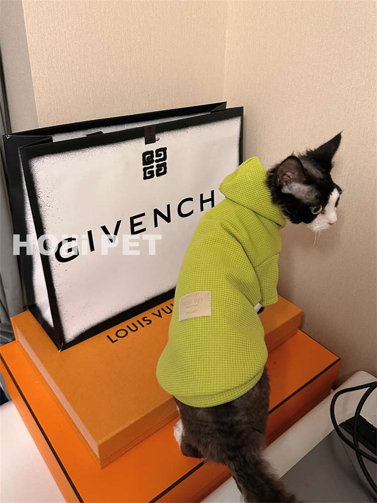 https://fulmo-img-server.com/nekohapi/28ebd8a36a07432a9ada8e2b8f2f7260.jepg