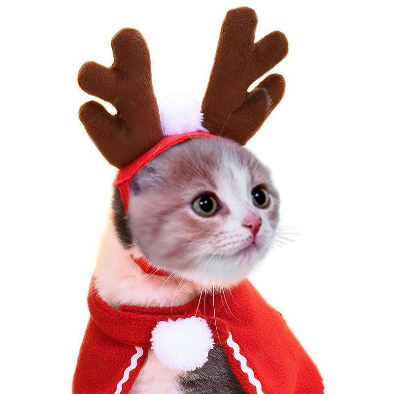 猫服 コスプレ | ねこちゃんのクリスマスコスプレ3点セット