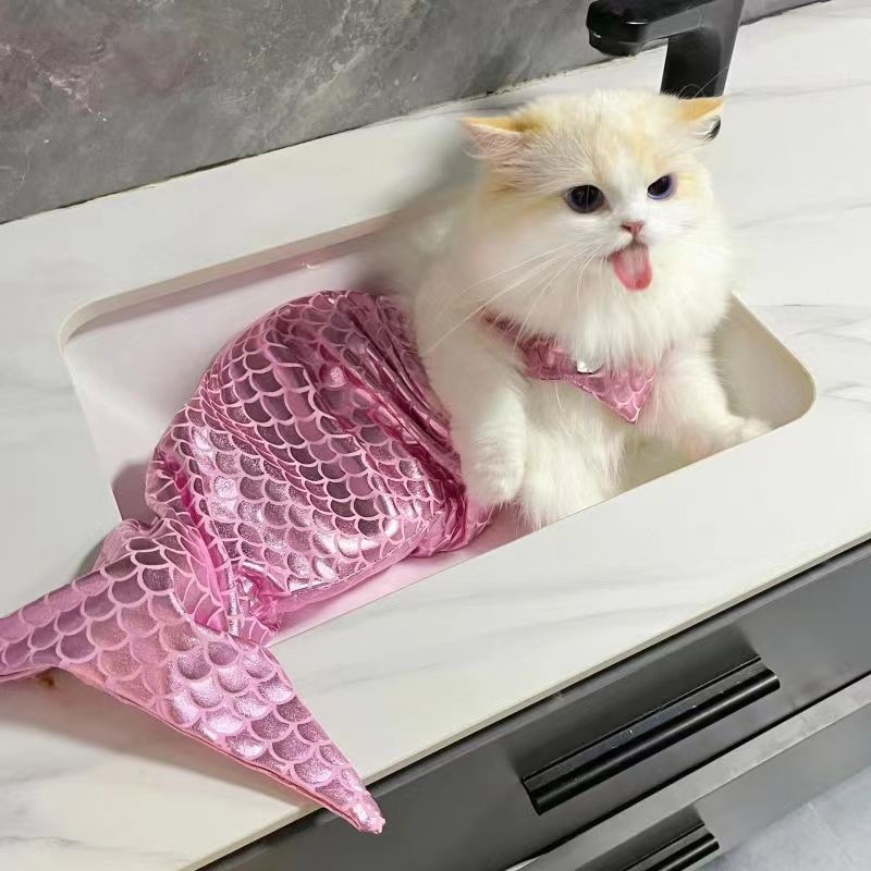 https://fulmo-img-server.com/nekohapi/2b869957-1d2b-4d90-a1a6-117d4c74f59d.jpg