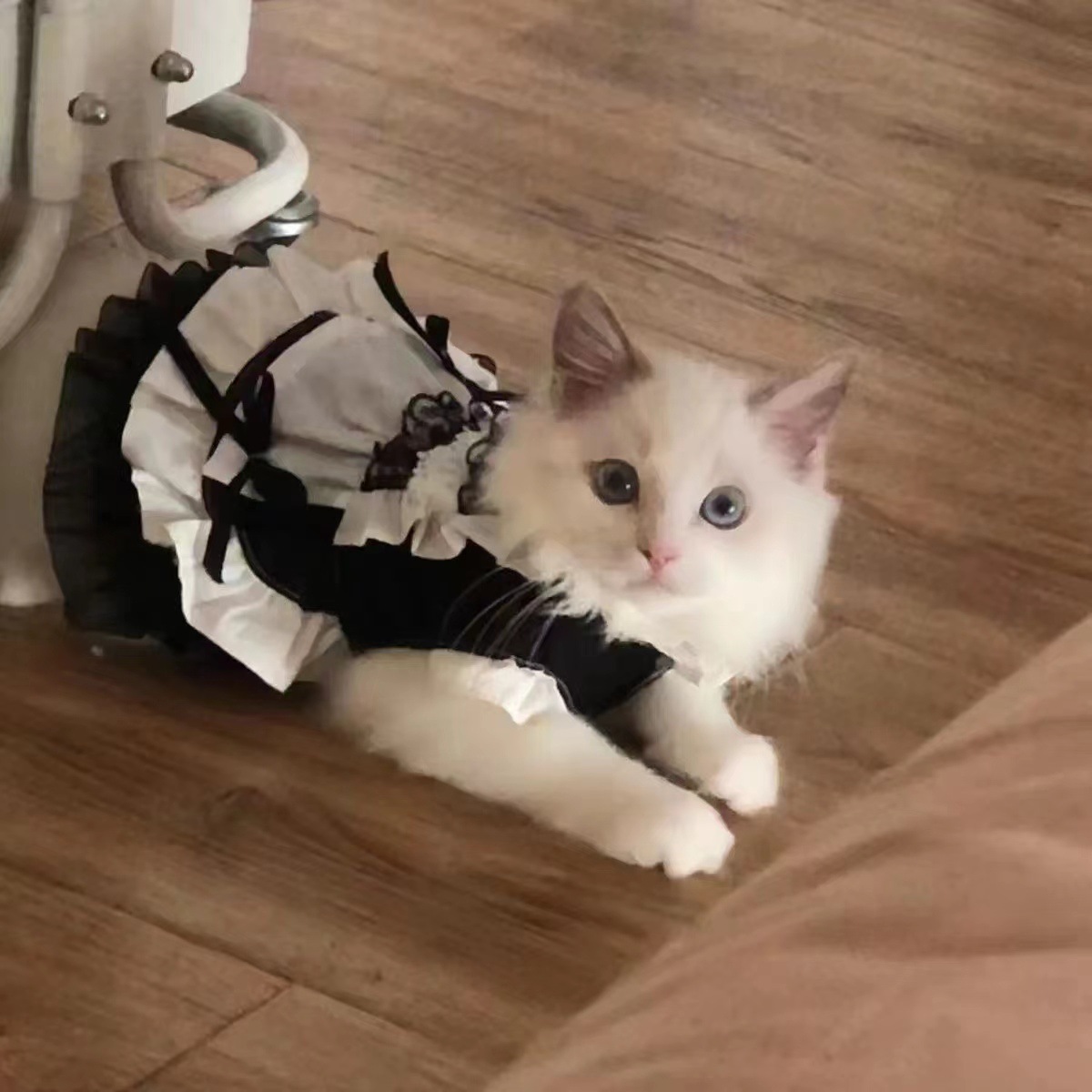 猫服 猫用フリルリボン付きメイド風ワンピース