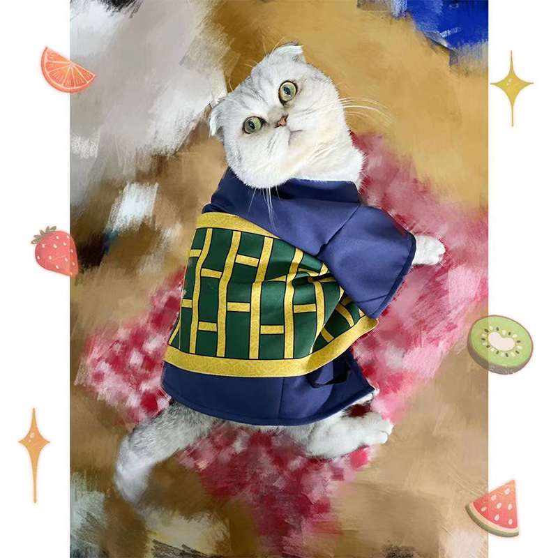 Cat Clothing Sphinx | Winter Warm Sphinx Cat Wear