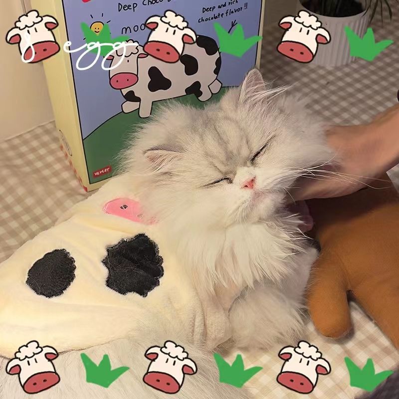 https://fulmo-img-server.com/nekohapi/30aac697-9242-4fa9-9a71-cdae139e94ac.jpg