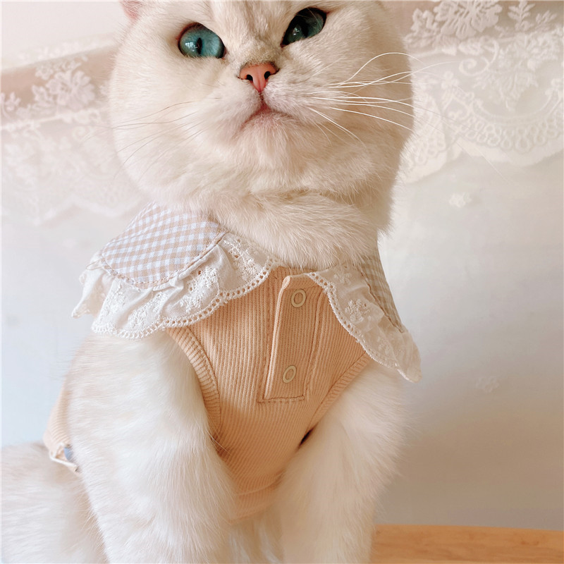 愛猫用襟付きレース装飾胸当て付きニットベスト