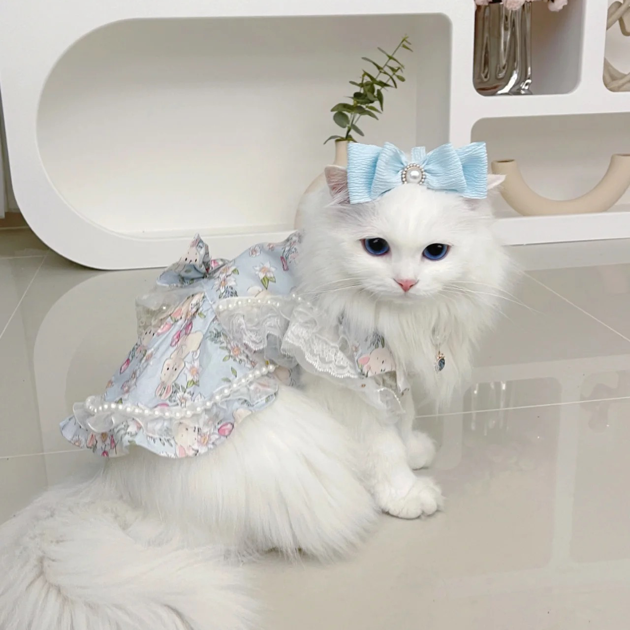 Cat Clothing Clothing | Fluffy Lace Princess Dress for Cats