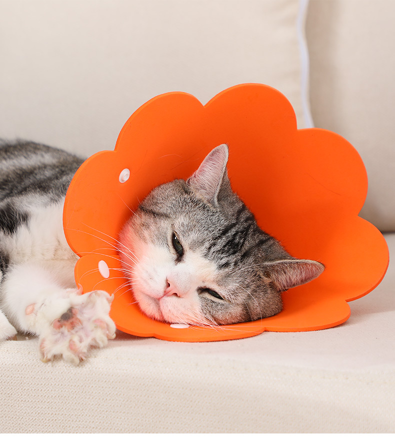 猫服 花びら型可愛い猫用エリザベスカラー