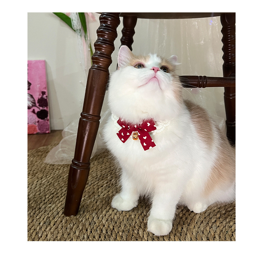 猫服 縁起福文字チャーム付き和風リボン首輪