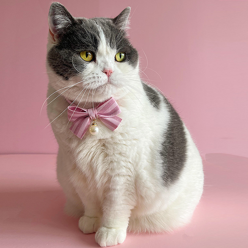猫服 上品なリボンと大粒パール付き猫用首輪