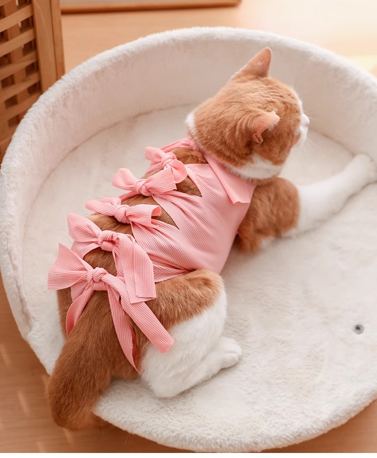 猫服 やさしいリボン結び術後服