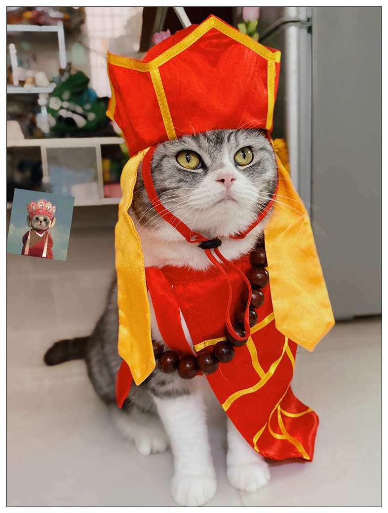 猫服 コスプレ | 福運招く僧侶風ペット着物